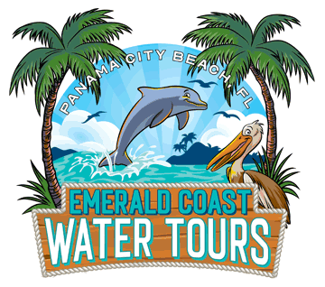 sunset dolphin tours panama city beach