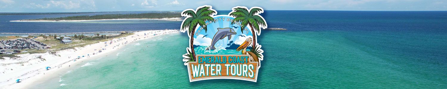 dolphin tours panama city beach prices