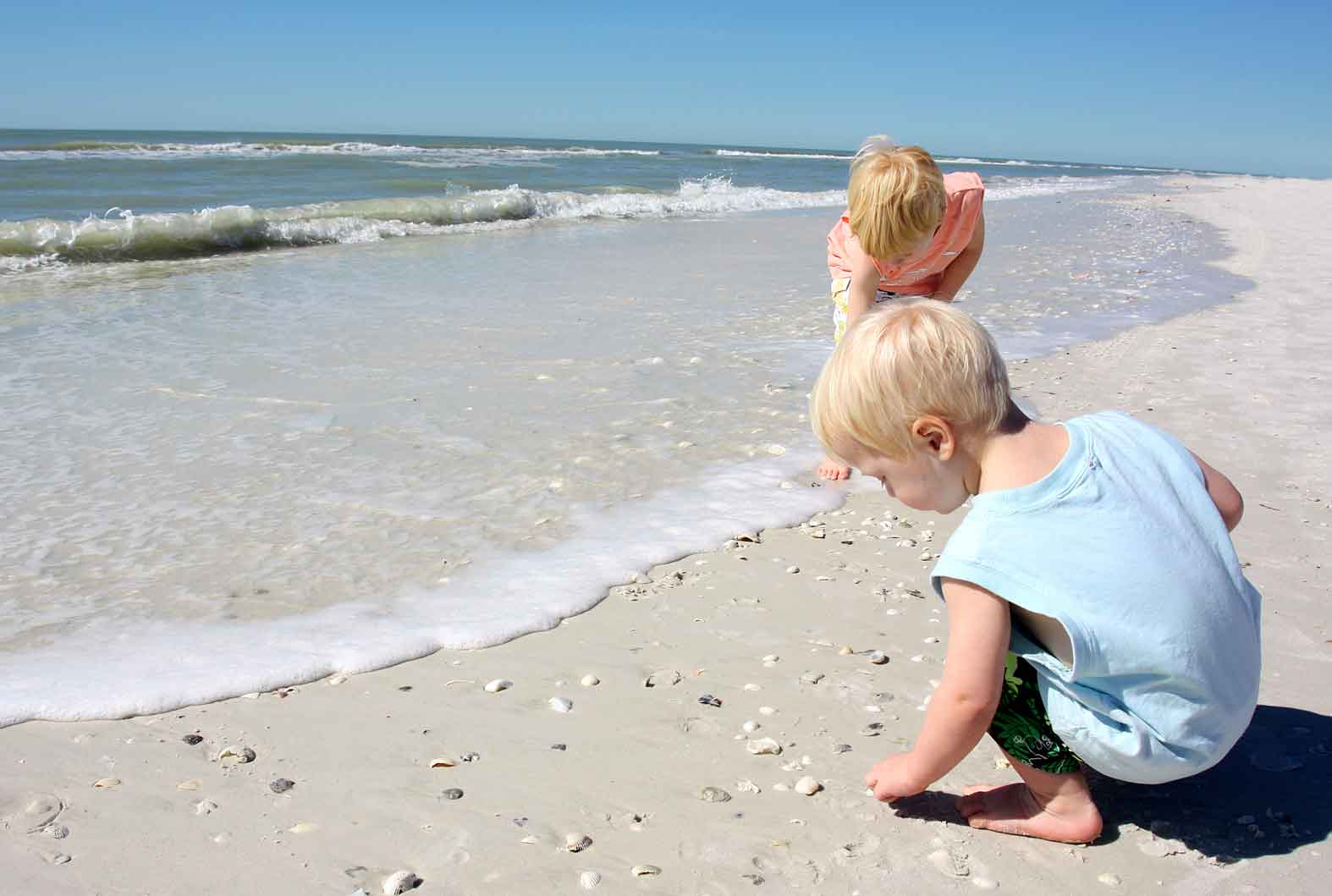 Kids collecting sea shells in pcb